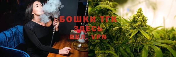 гидропоника Алзамай