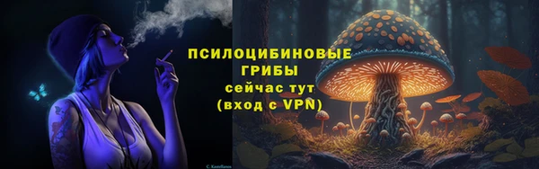 гидропоника Алзамай