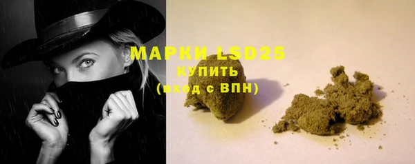 гидропоника Алзамай
