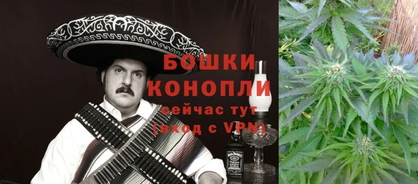 гидропоника Алзамай